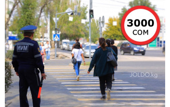 Штраф за пешехода в 2025 году