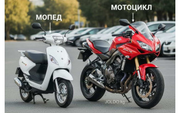Мопед, скутер и мотоцикл: в чём разница?
