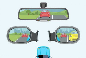 Унаа күзгүсүн тууралап алуу боюнча колдонмо