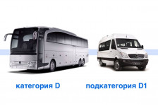 Категория D и D1 в чем разница?