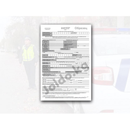 5 простых правил заполнения протокола