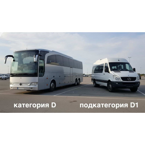 Категория D и D1 в чем разница?