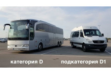 Категория D и D1 в чем разница?