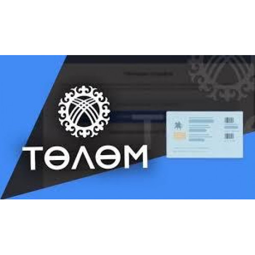 Правовой портал «Төлөм»: решение проблем повторной оплаты штрафов