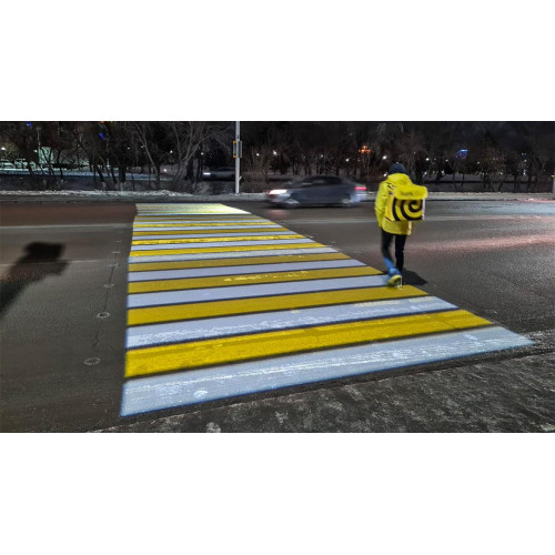 В Нур-Султане появилась проекционная зебра