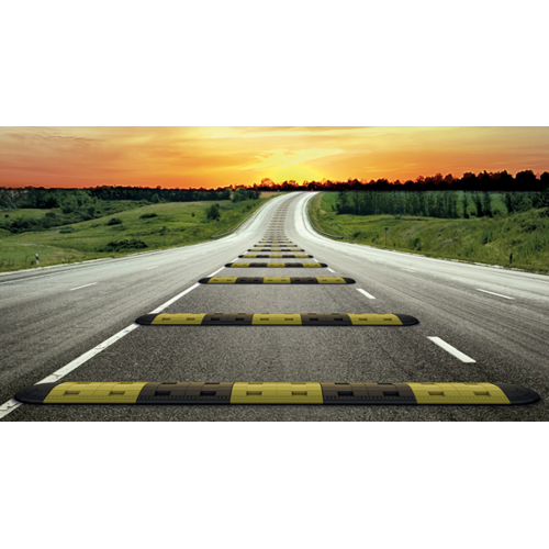 Вовремя не заметил лежачий полицейский