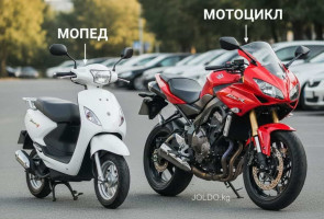 Мопед, скутер и мотоцикл: в чём разница?