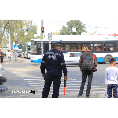 Как уступить дорогу пешеходам? 