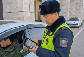 Забыл ПДД - ходи пешком: разбор нового закона