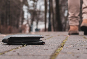 Күбөлүктү жоготуп алдыңыз - эмне кылуу керек?