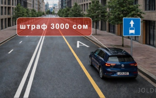 Туура эмес токтоо үчүн айып