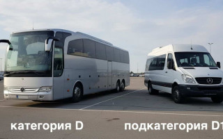 Категория D жана D1 — айырмасы эмнеде?