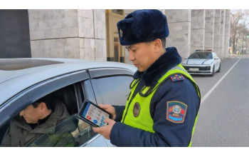 Забыл ПДД - ходи пешком: разбор нового закона