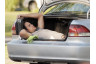 Можно ли перевозить людей в багажнике?