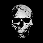 Артем Плотниров