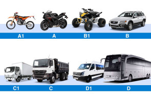 Улуттук жана эл аралык айдоочулук күбөлүктөрдү берүү