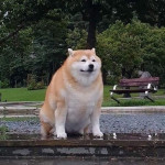 Аяна Aбдыкапарова