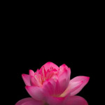 Аида Каримова