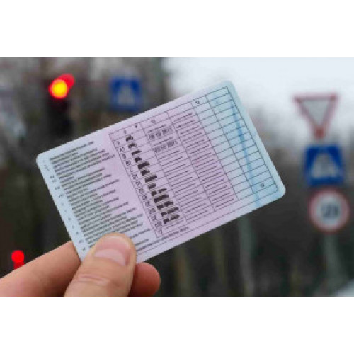 Замена водительских прав через «Түндүк»